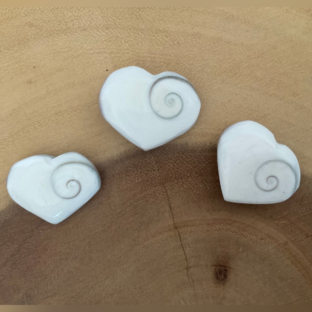 Shiva Shell Hearts